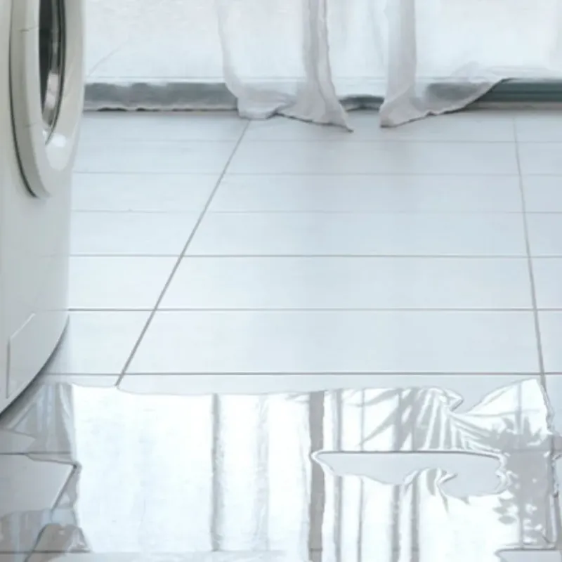 Appliance Leak Cleanup in Red Bud, IL