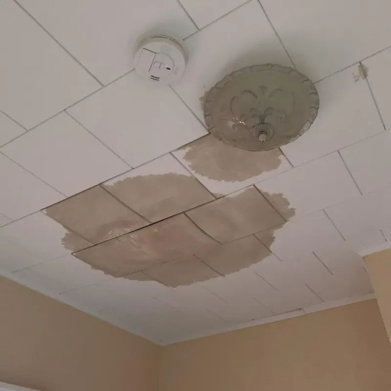 Ceiling Water Damage Repair in Red Bud, IL