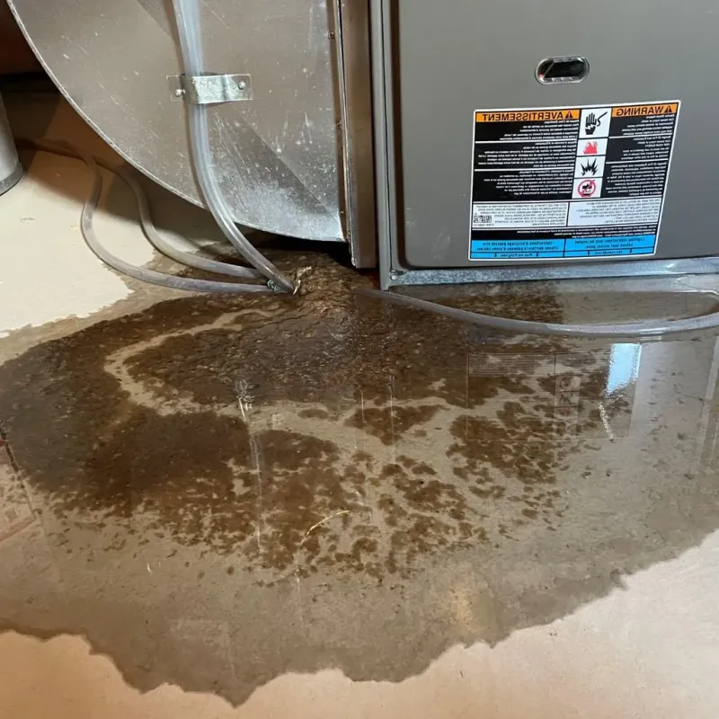Pipe Burst and Leak Restoration in Red Bud, IL