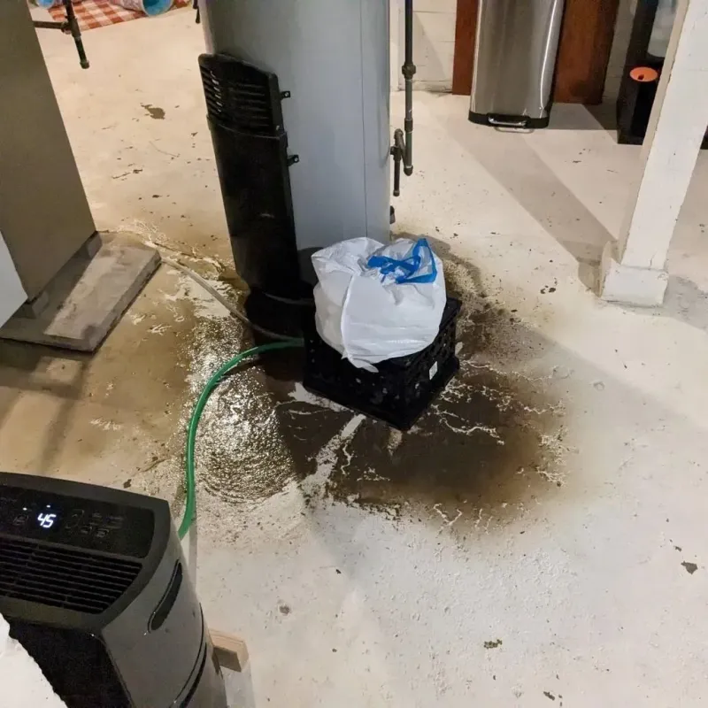 Sewage Backup Cleanup Service in Red Bud, IL
